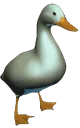 jiggleduck