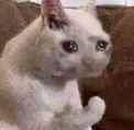lifehasnosense