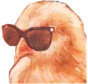 cool_chick2 cool_chick2