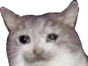 catcrie
