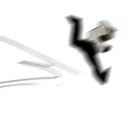 nyoom nyoom