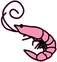 Shrimps