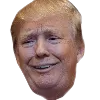 tonald_drump