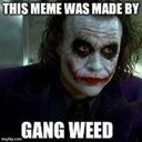 society