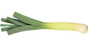 leek leek