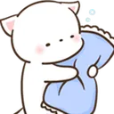 PillowCat