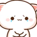PeachCatTears PeachCatTears