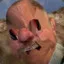 cursed