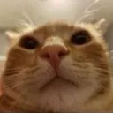 mfw