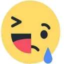 Crylaugh crylaugh Discord Emoji