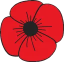 poppy