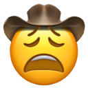 :yeehaw: Discord Emote