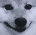 SmileDog