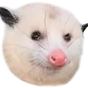 possumhmm