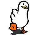 duckwalk