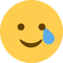 sadsmile