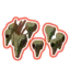 WakeOfVultures