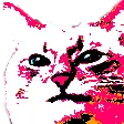 hyperbetoangery