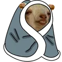 GoatinBlanket2