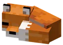 sleep