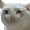 SadCat Discord Emoji