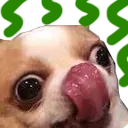 StinkyDog