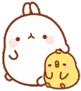 patbunny