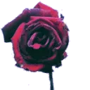Hero
