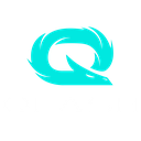 qlash Discord emoji