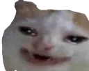 highcat