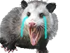 OpossumCry