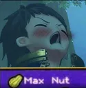 MAXNUT