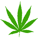 MadGanja