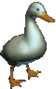 HaHaDuck HaHaDuck
