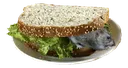 REALLUNCH REALLUNCH