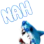 nahsharktrexer