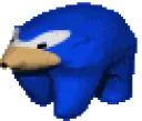BearSonic