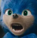 sanic