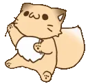 kittenRAWR