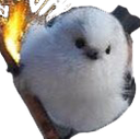 :ooTit: Discord Emote