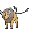 tauros