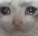 sadkiddy sadkiddy