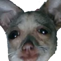 whenkaz