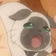 4914_rollopanic