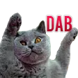 maryluRomeoDab