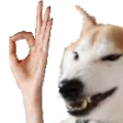 OkDoggo