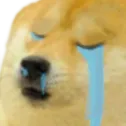 DogeCry