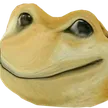 DogeFrog