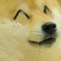 DogeKawaii