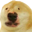 DogeDog